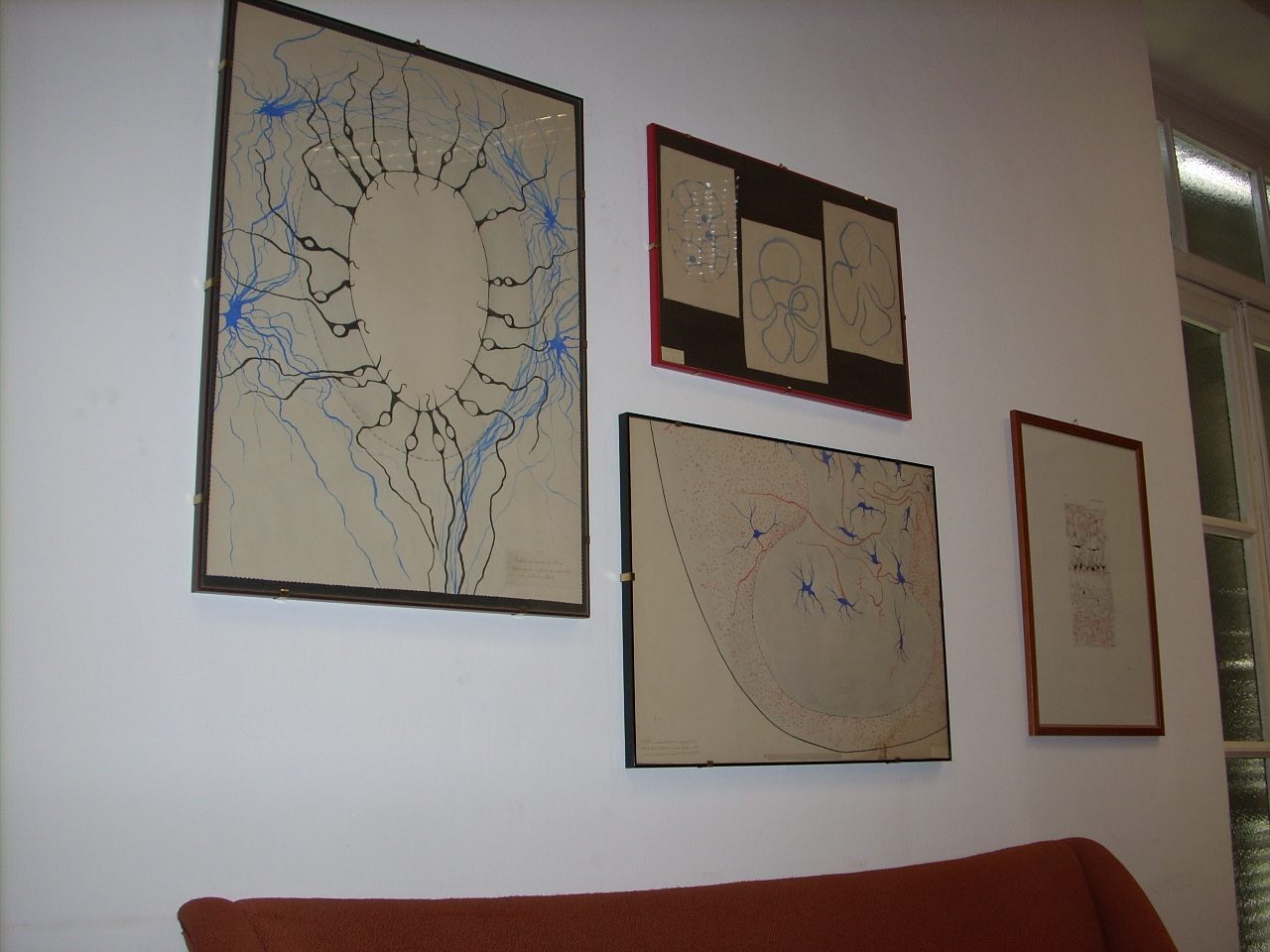 Giulio Bizzozero s histological drawings, Accademia di Medicina, Turin, Italy - 01.JPG